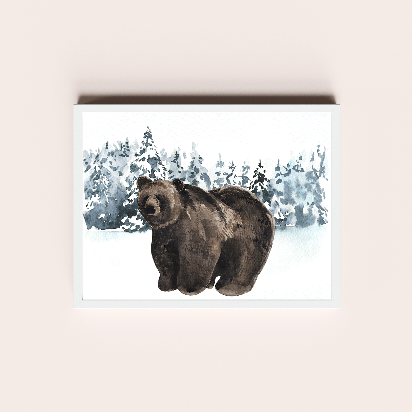 Oso