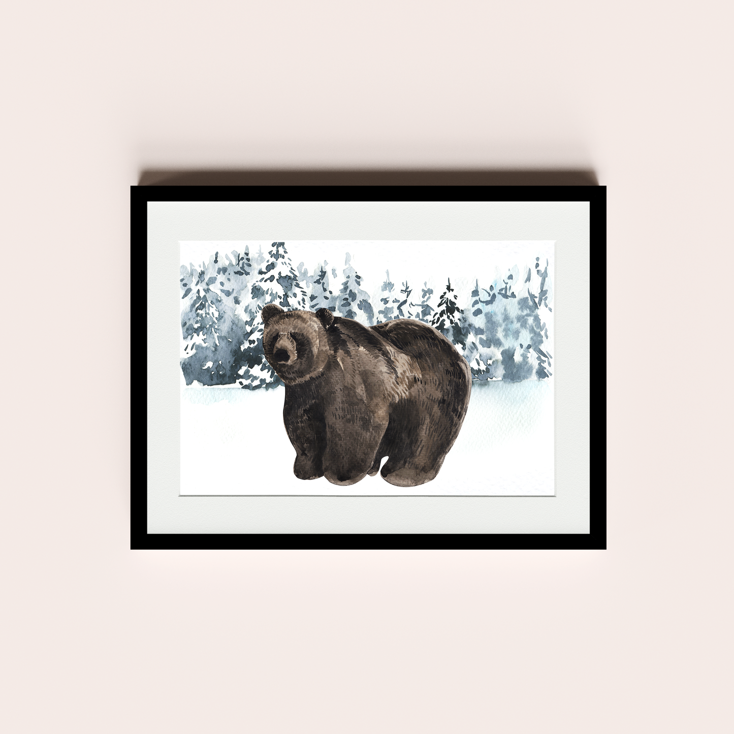 Oso