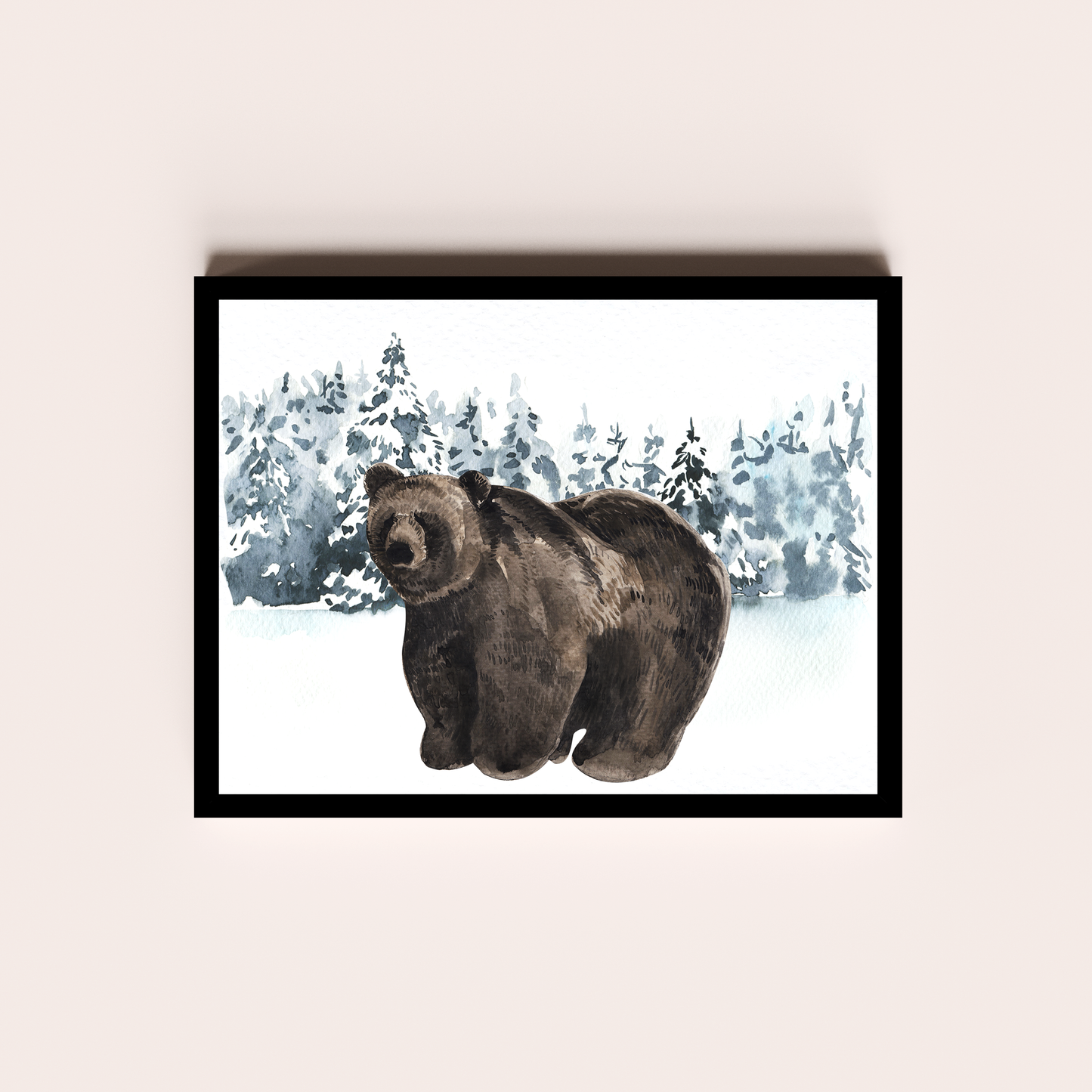 Oso