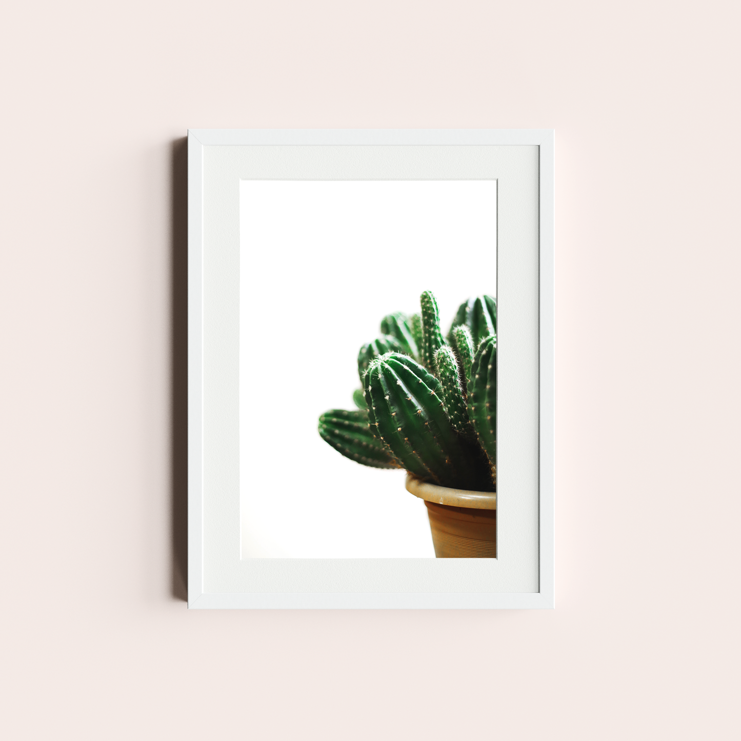 Cactus I