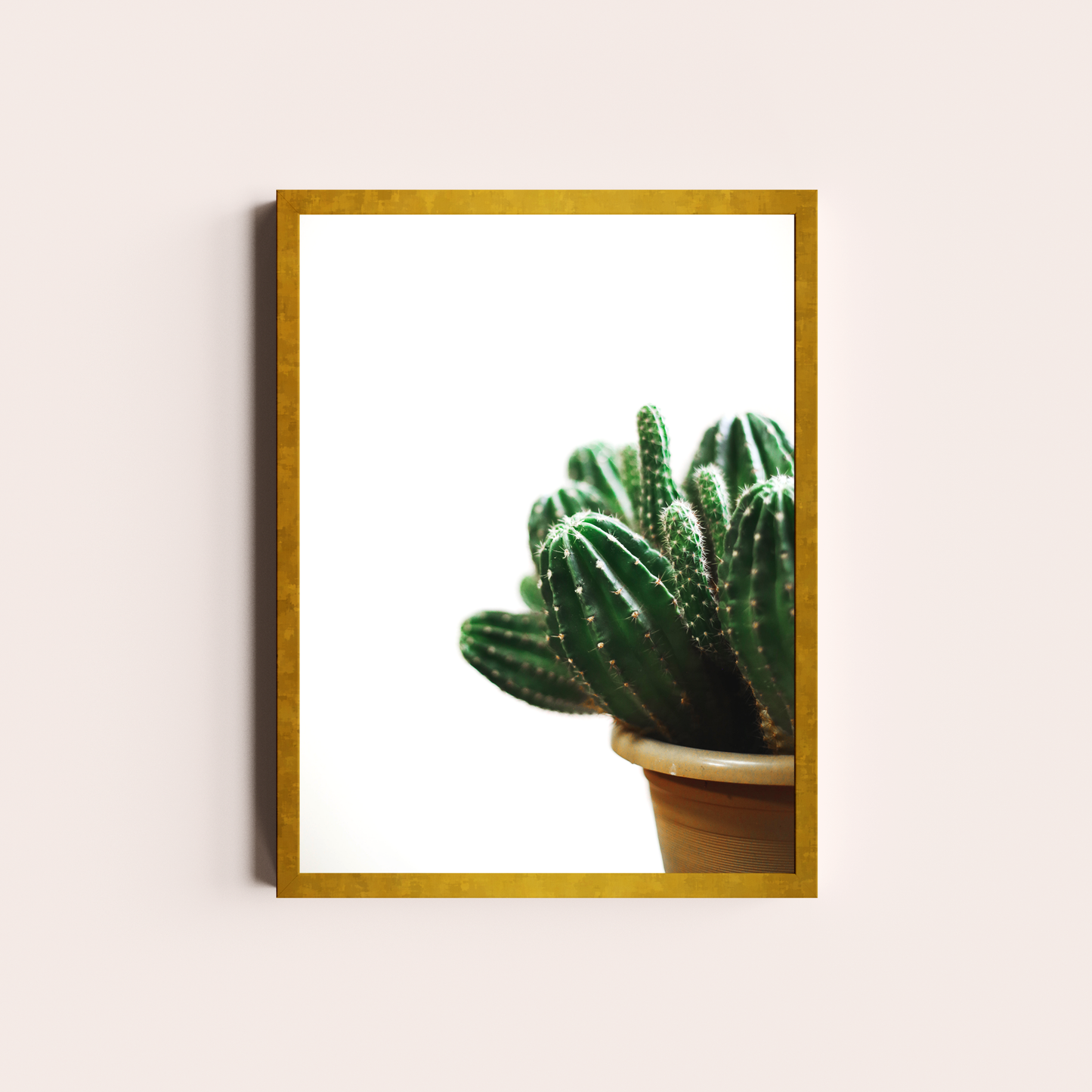 Cactus I