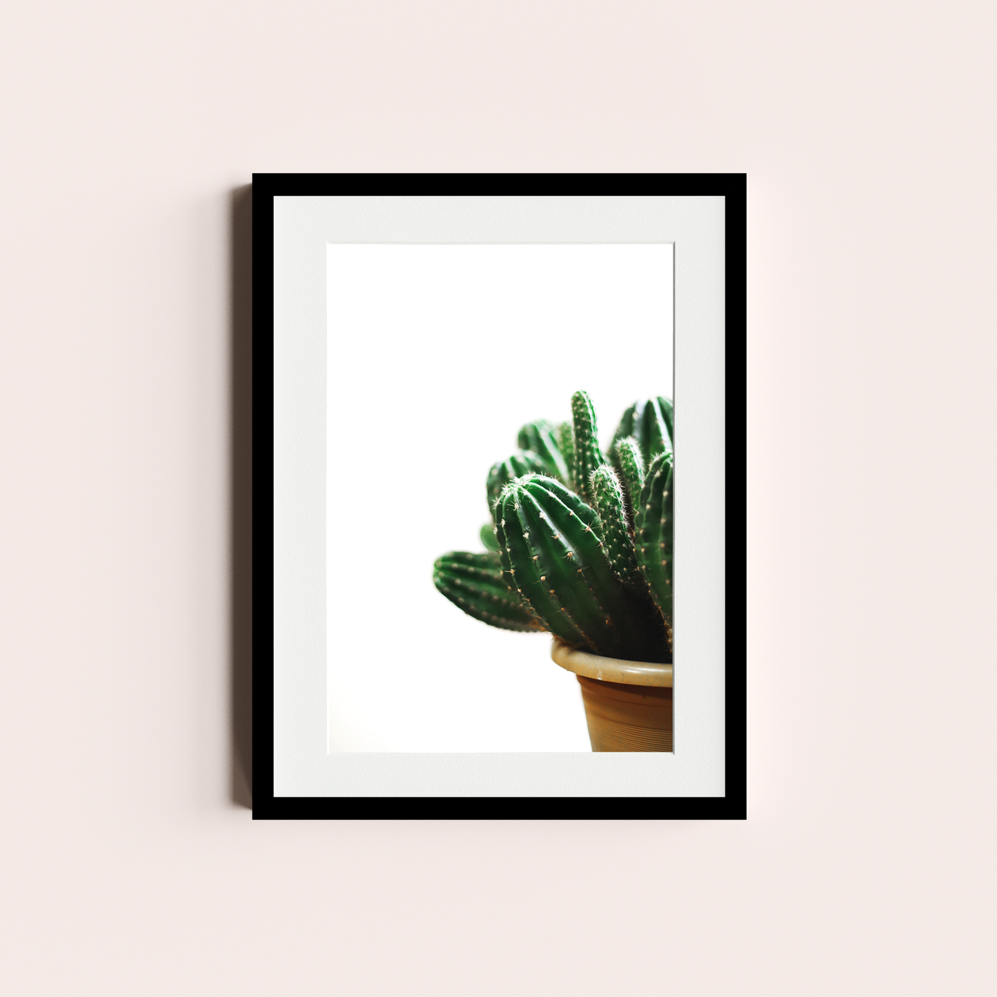 Cactus I