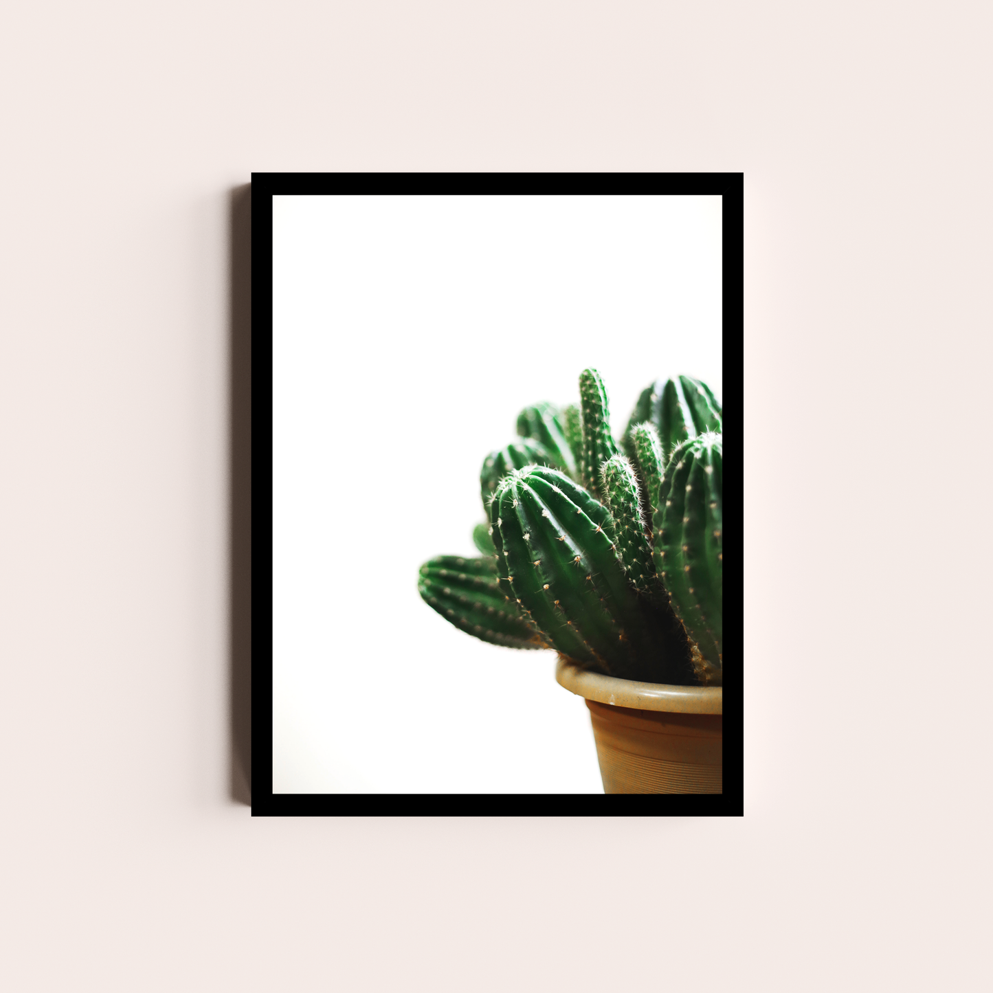 Cactus I