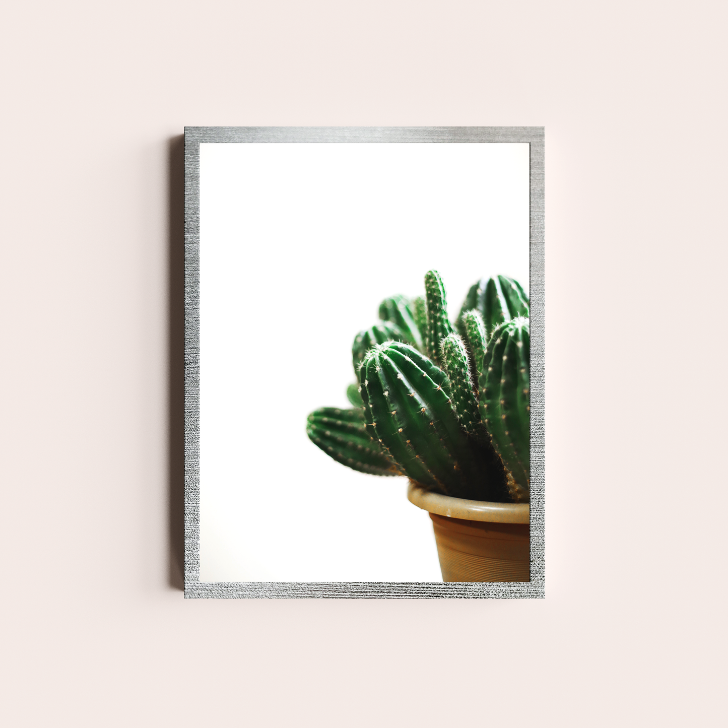 Cactus I