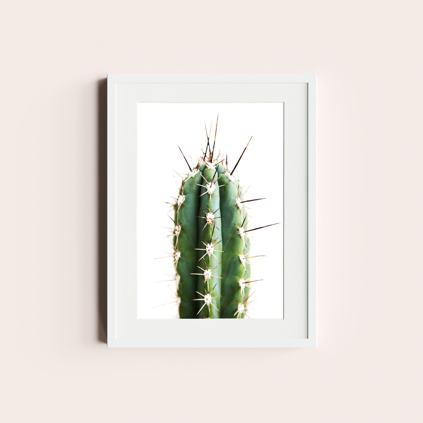 Cactus II