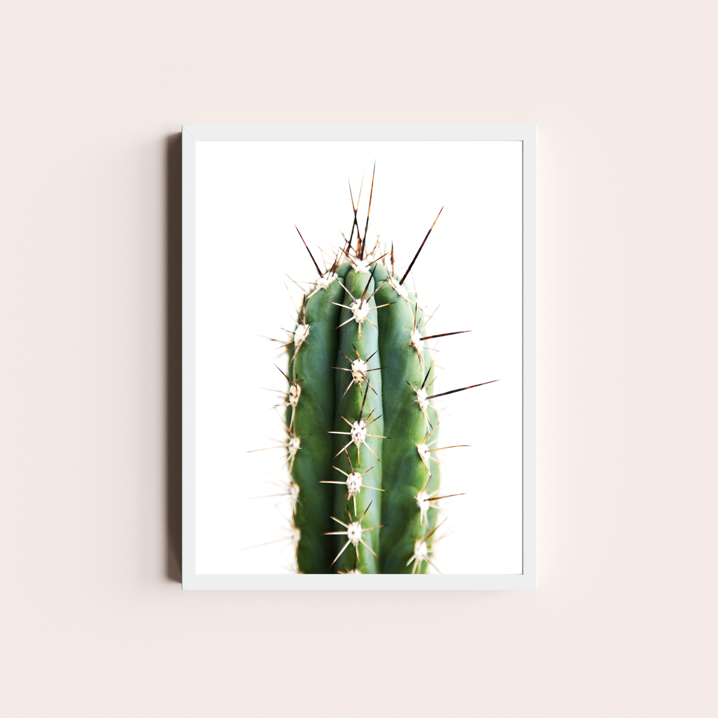 Cactus II