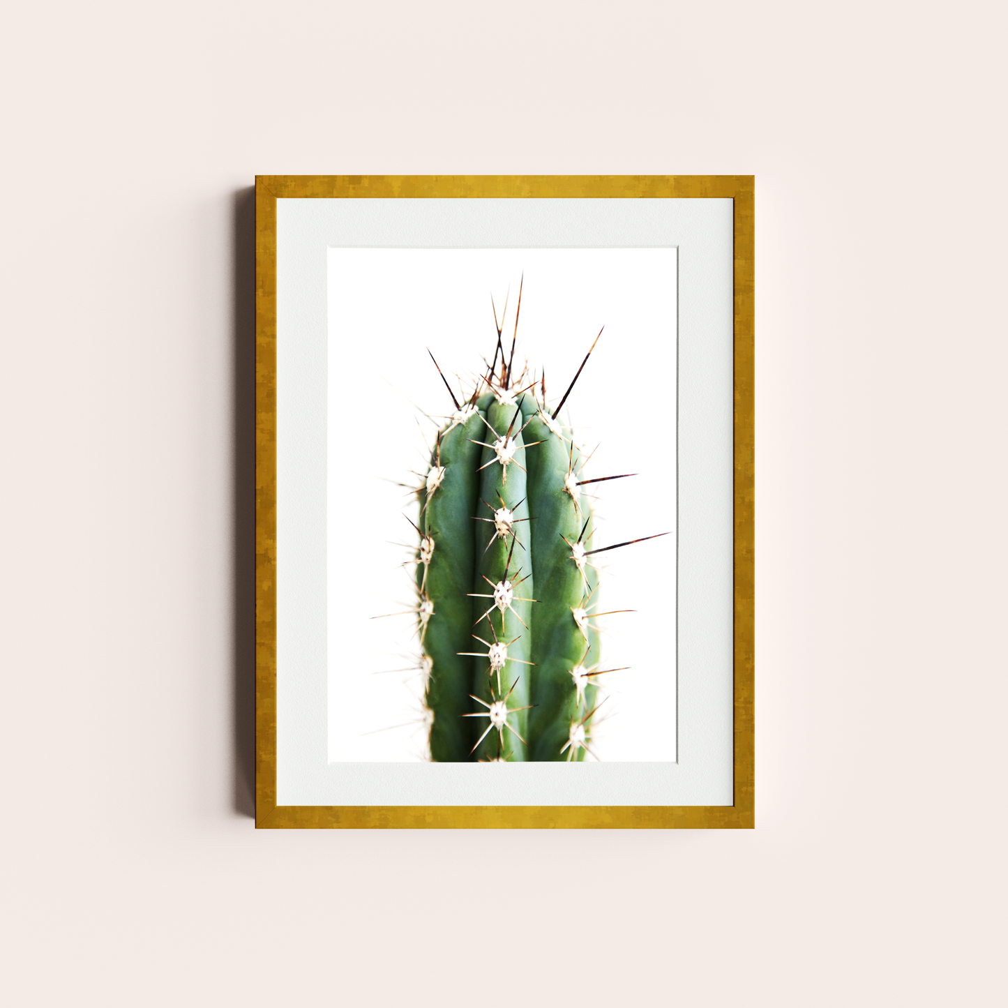 Cactus II