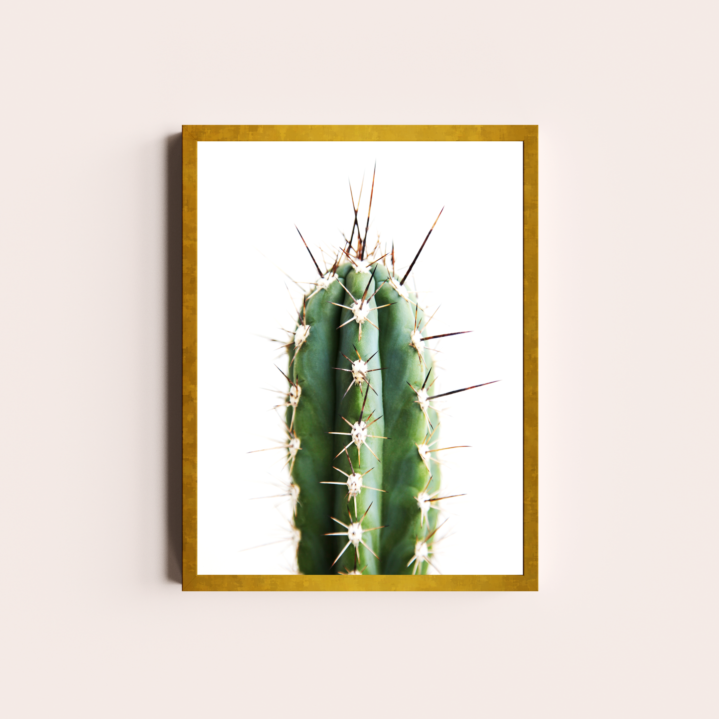 Cactus II