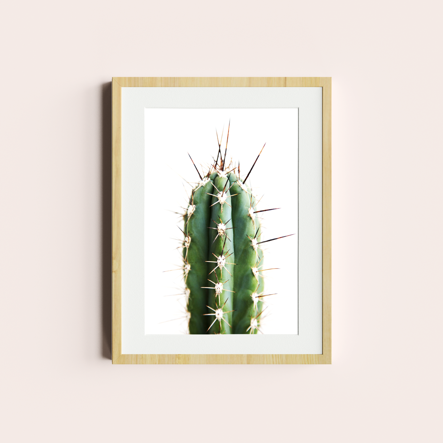 Cactus II