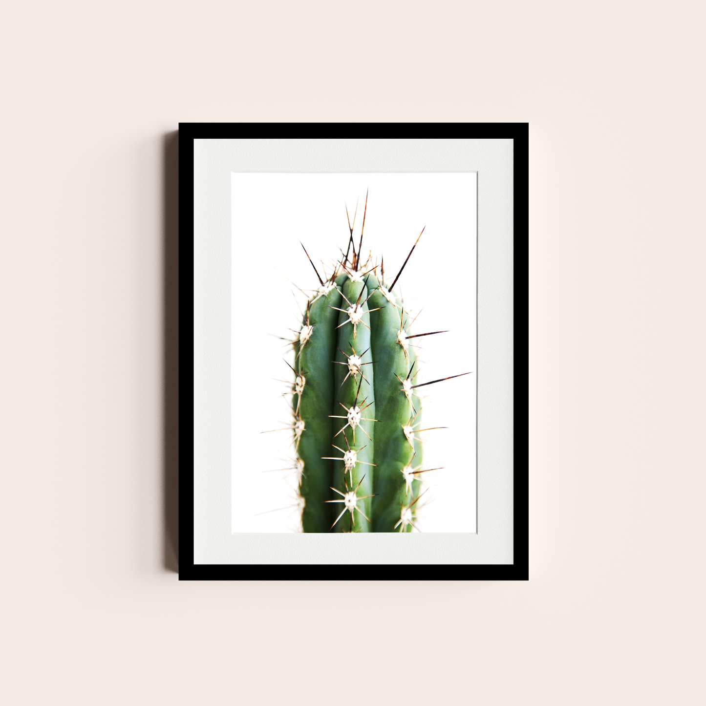 Cactus II