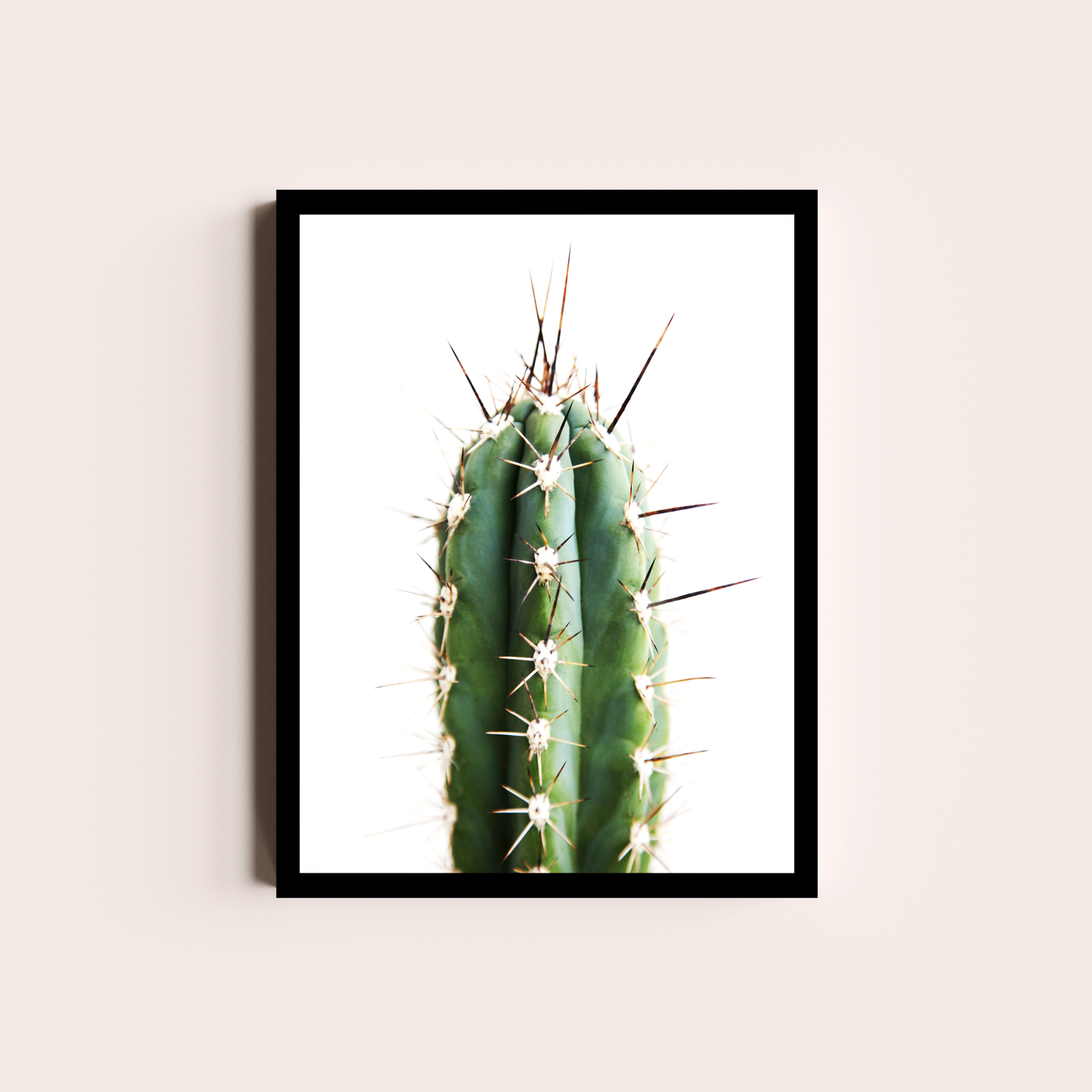 Cactus II