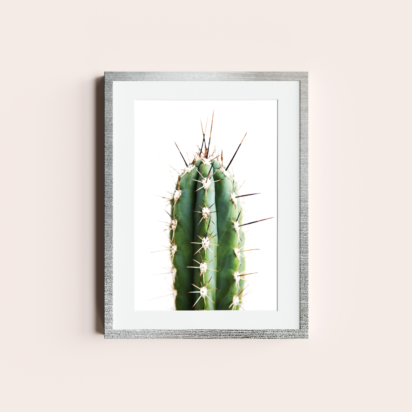 Cactus II