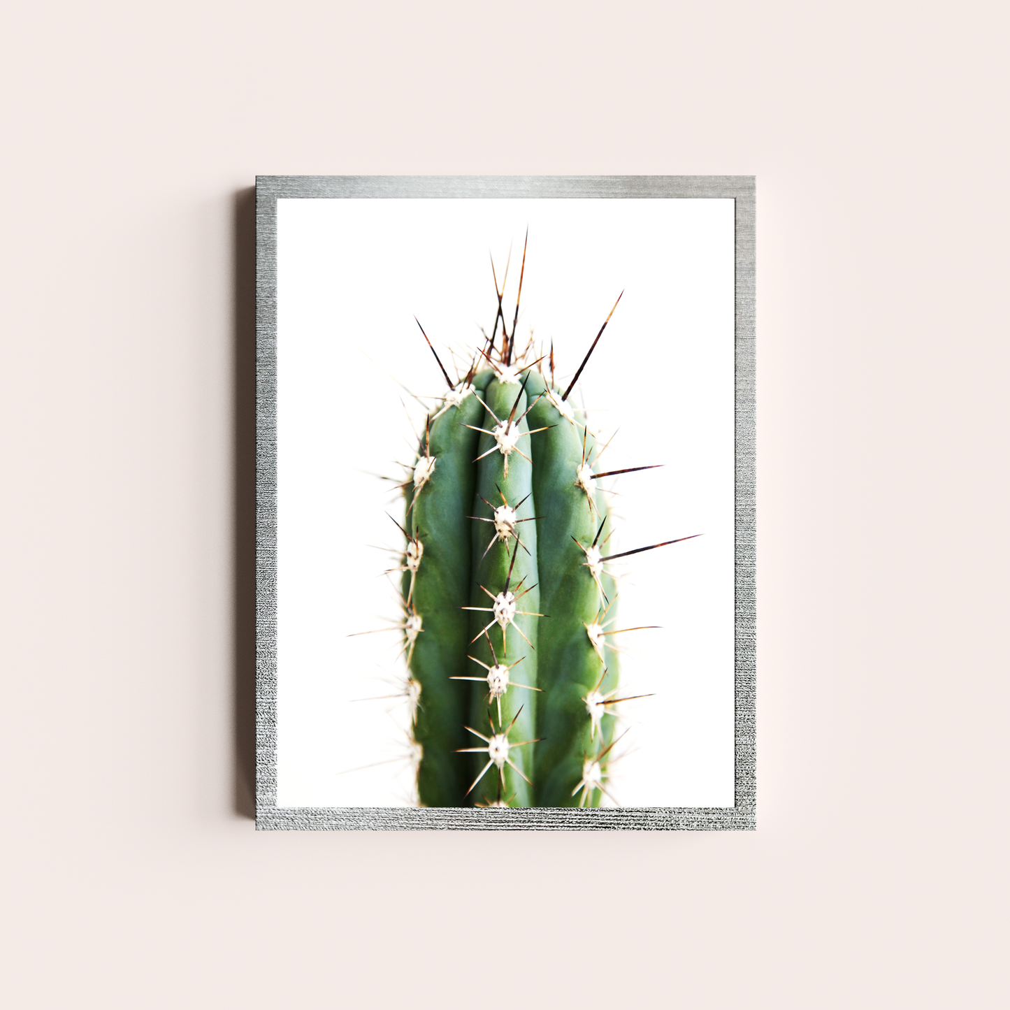 Cactus II