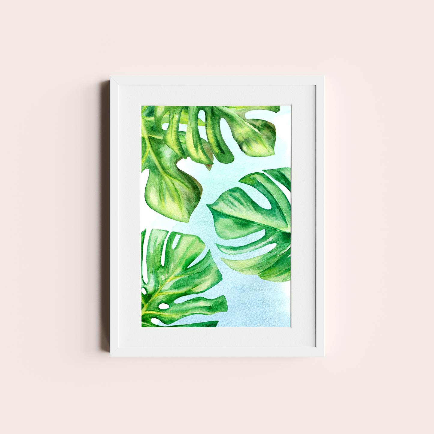 Monstera deliciosa