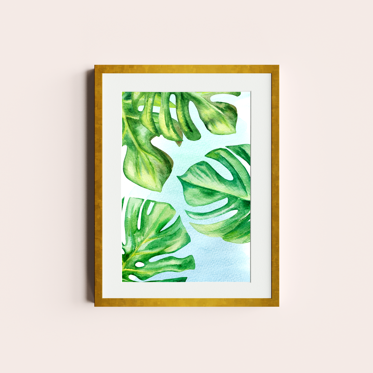 Monstera deliciosa