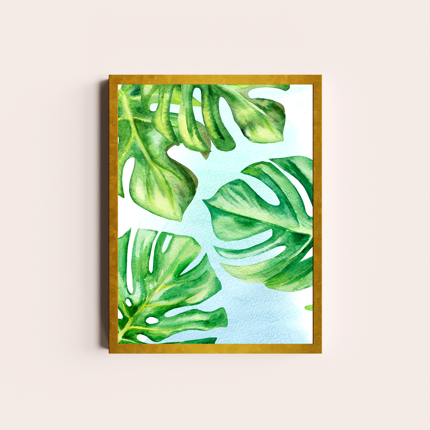 Monstera deliciosa
