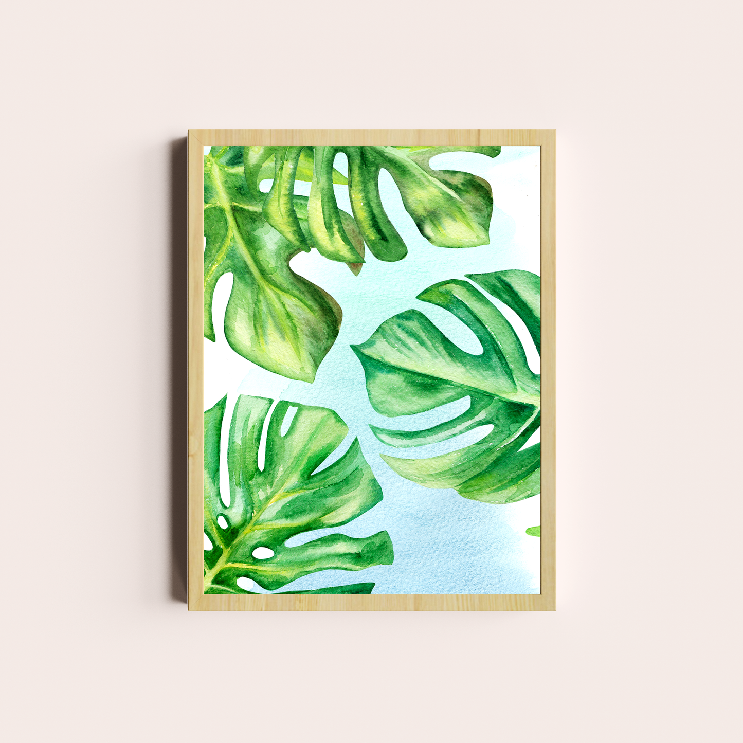 Monstera deliciosa