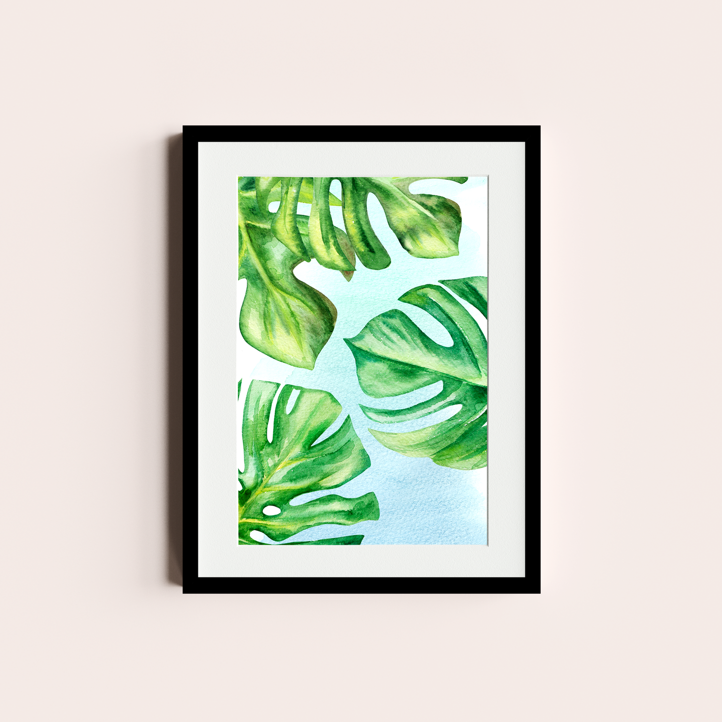 Monstera deliciosa