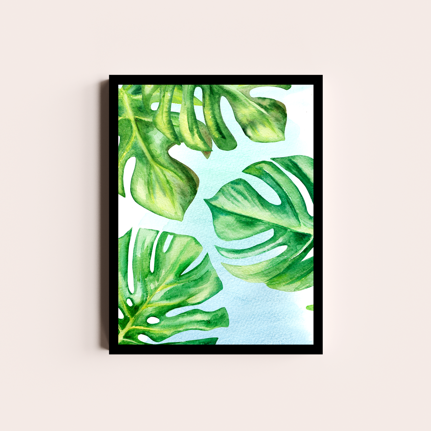 Monstera deliciosa
