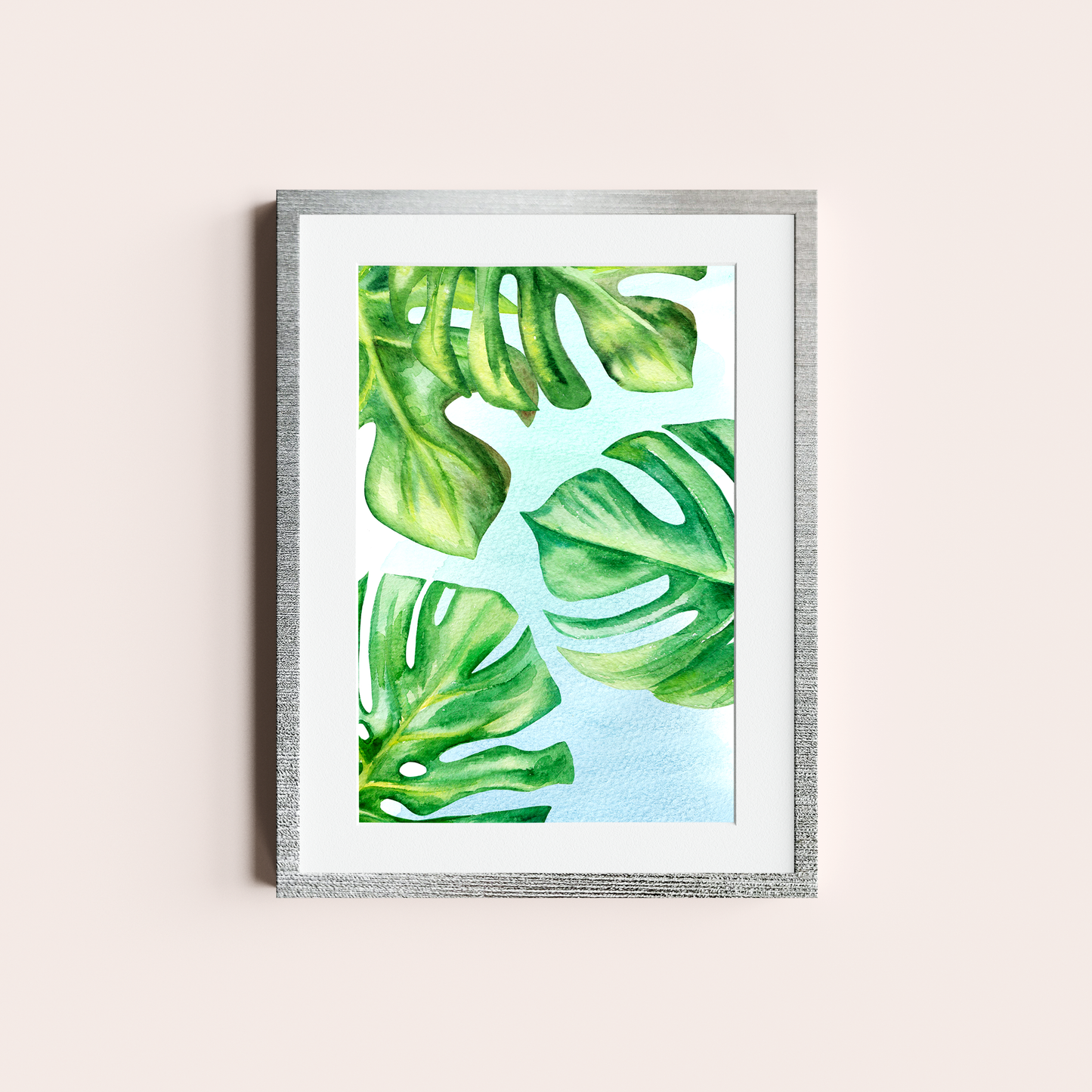 Monstera deliciosa