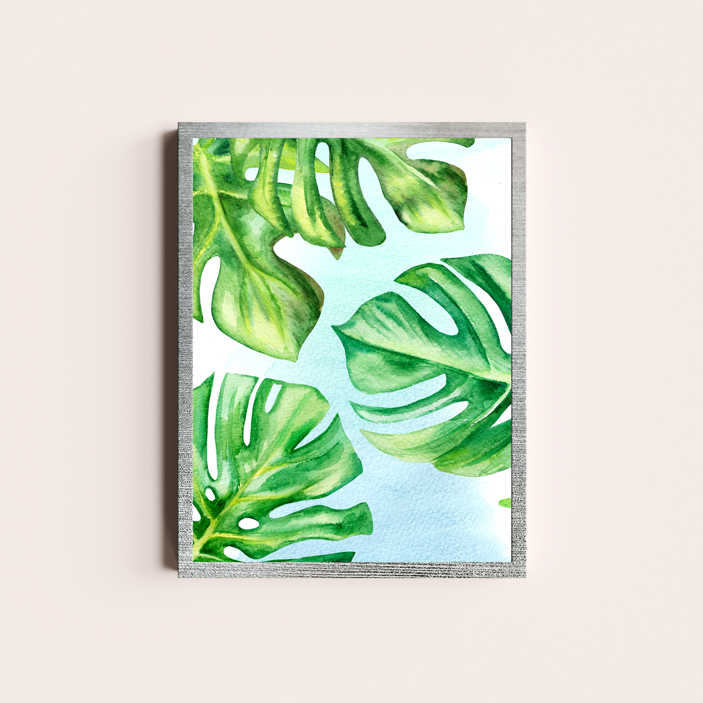 Monstera deliciosa
