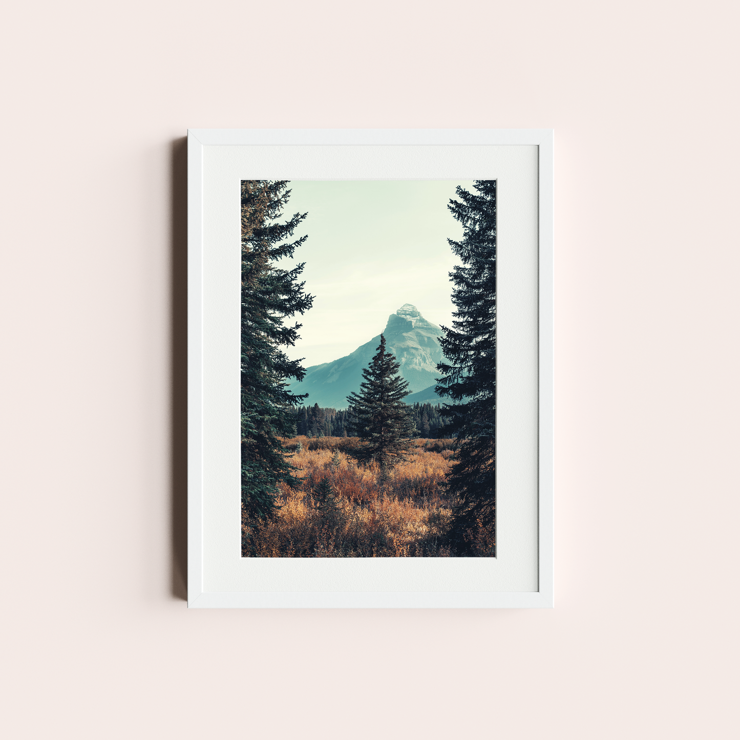 El bosque de Pinos I