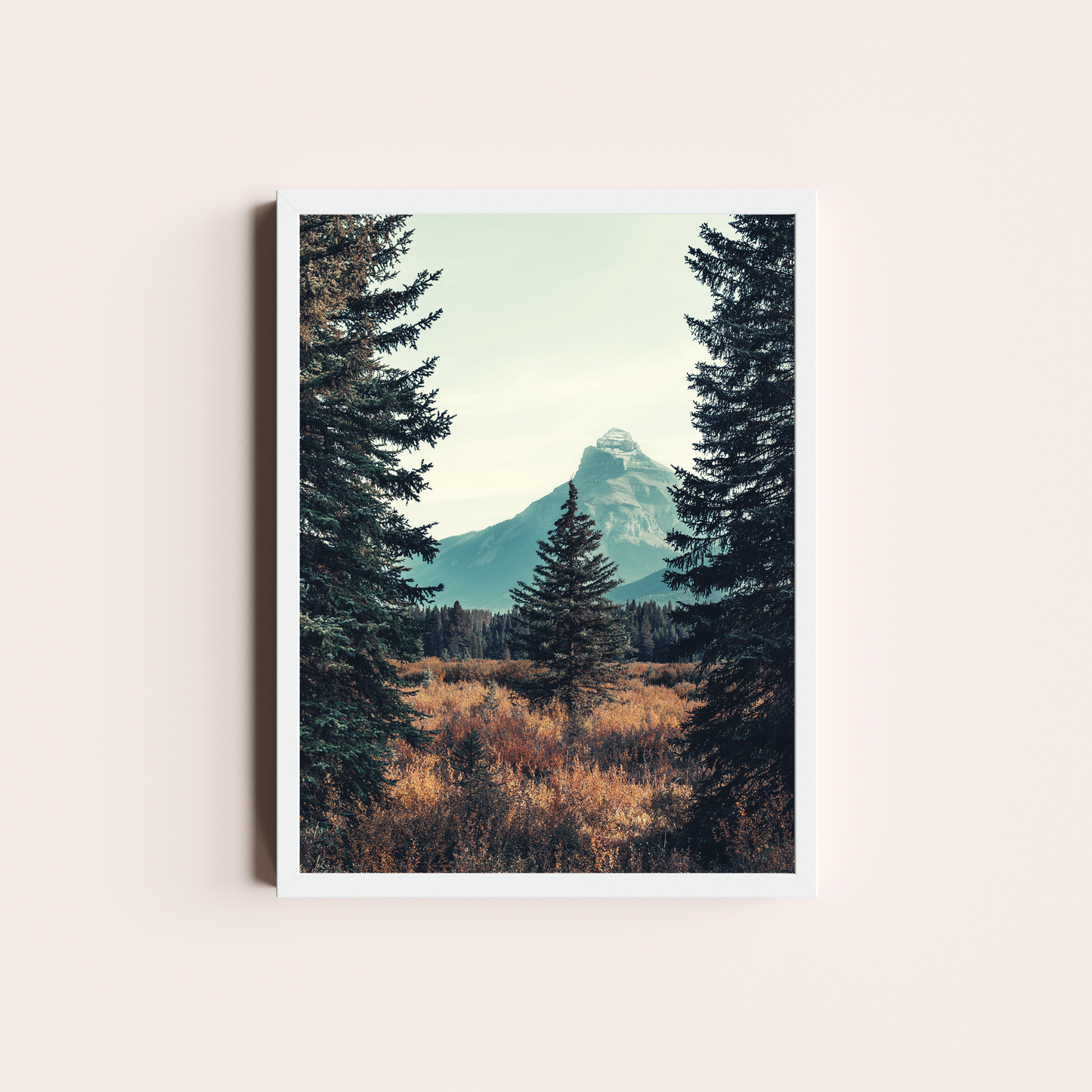 El bosque de Pinos I