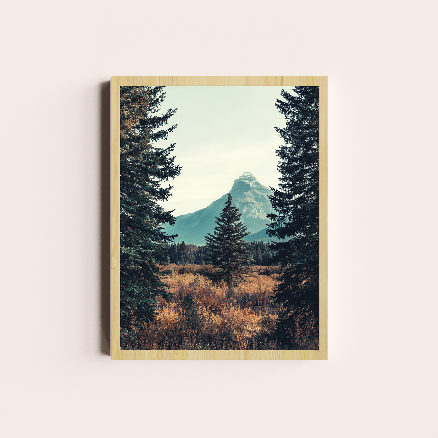El bosque de Pinos I