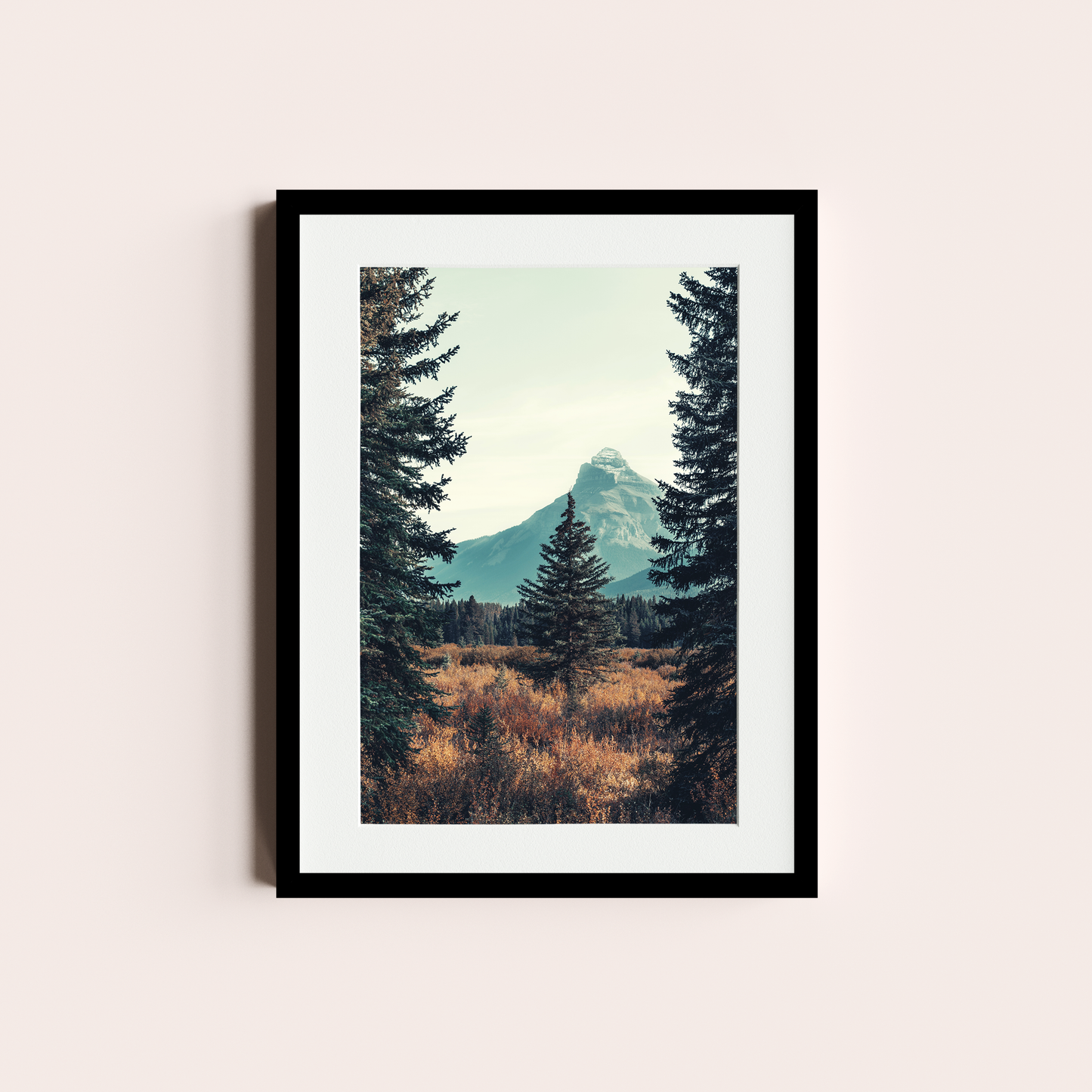 El bosque de Pinos I