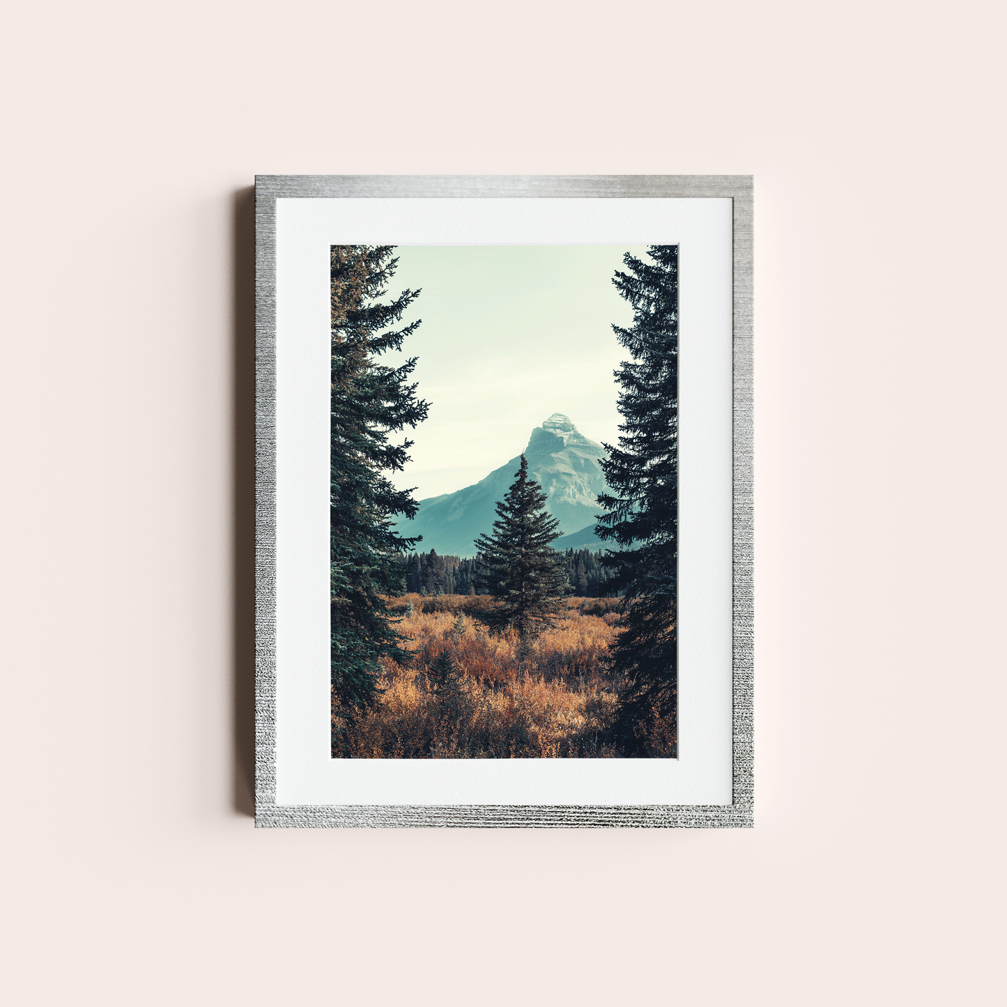 El bosque de Pinos I