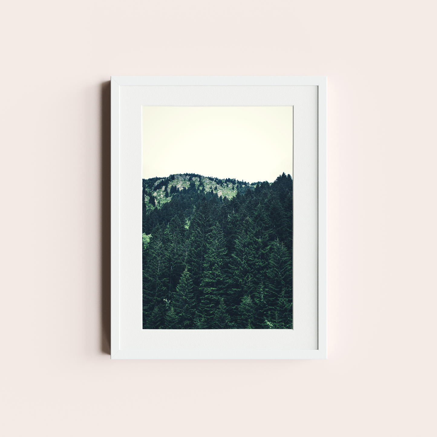 El bosque de Pinos II
