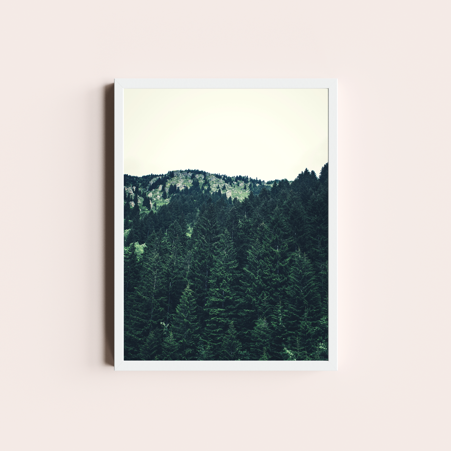 El bosque de Pinos II