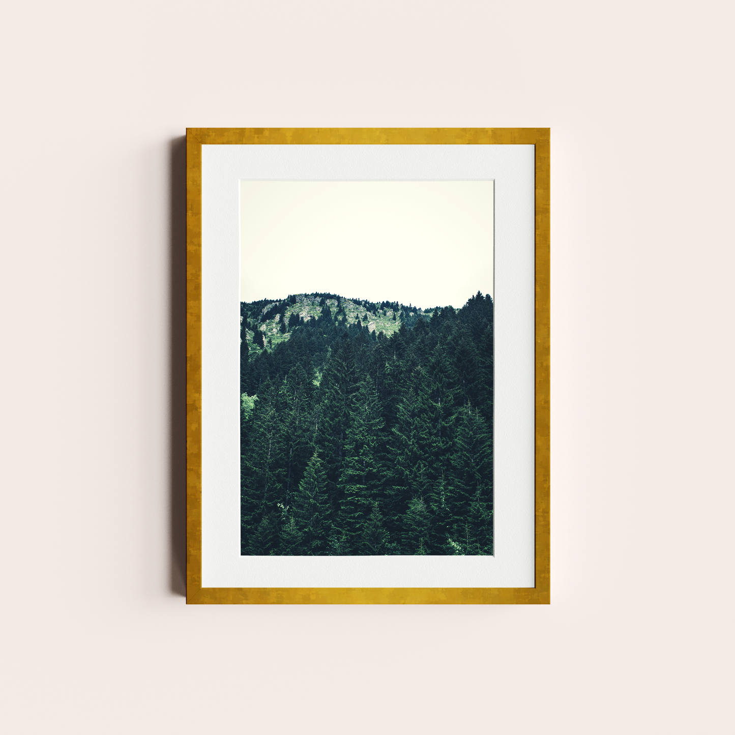 El bosque de Pinos II