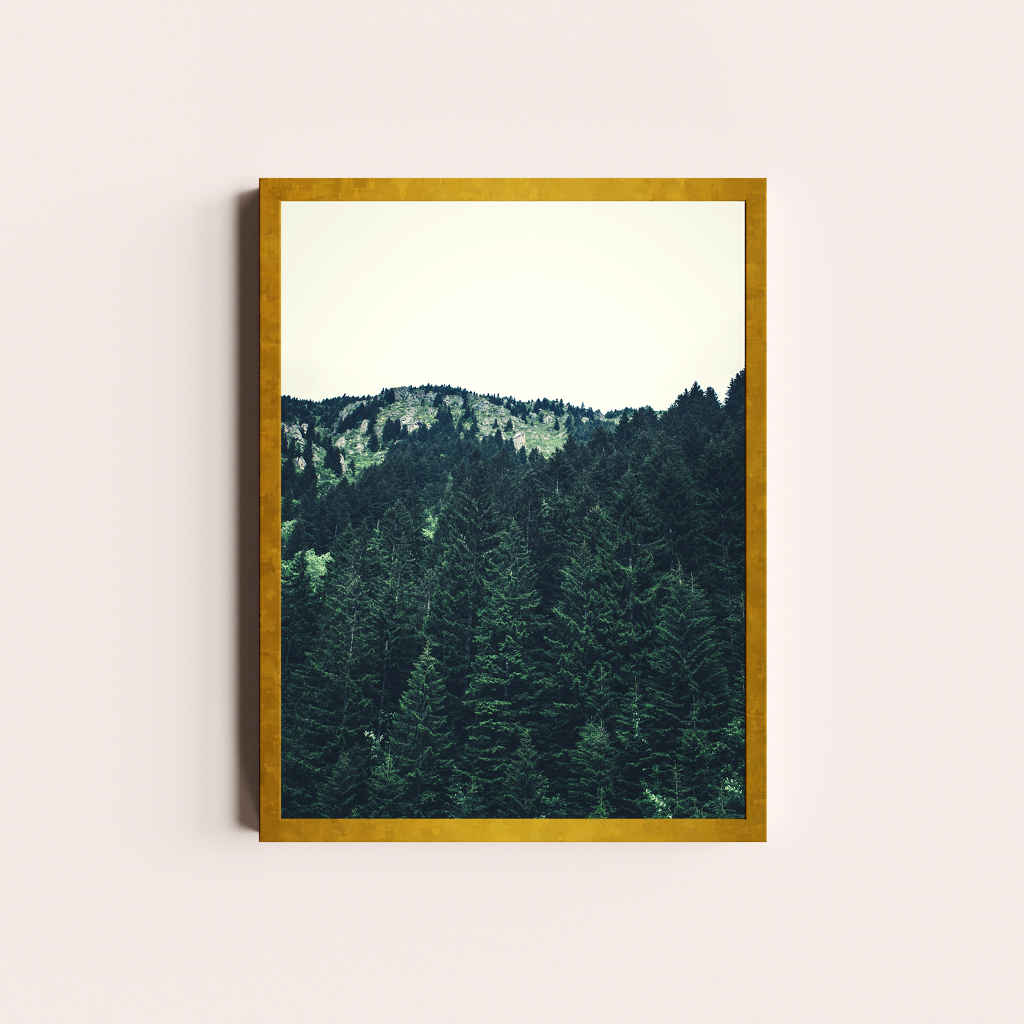 El bosque de Pinos II