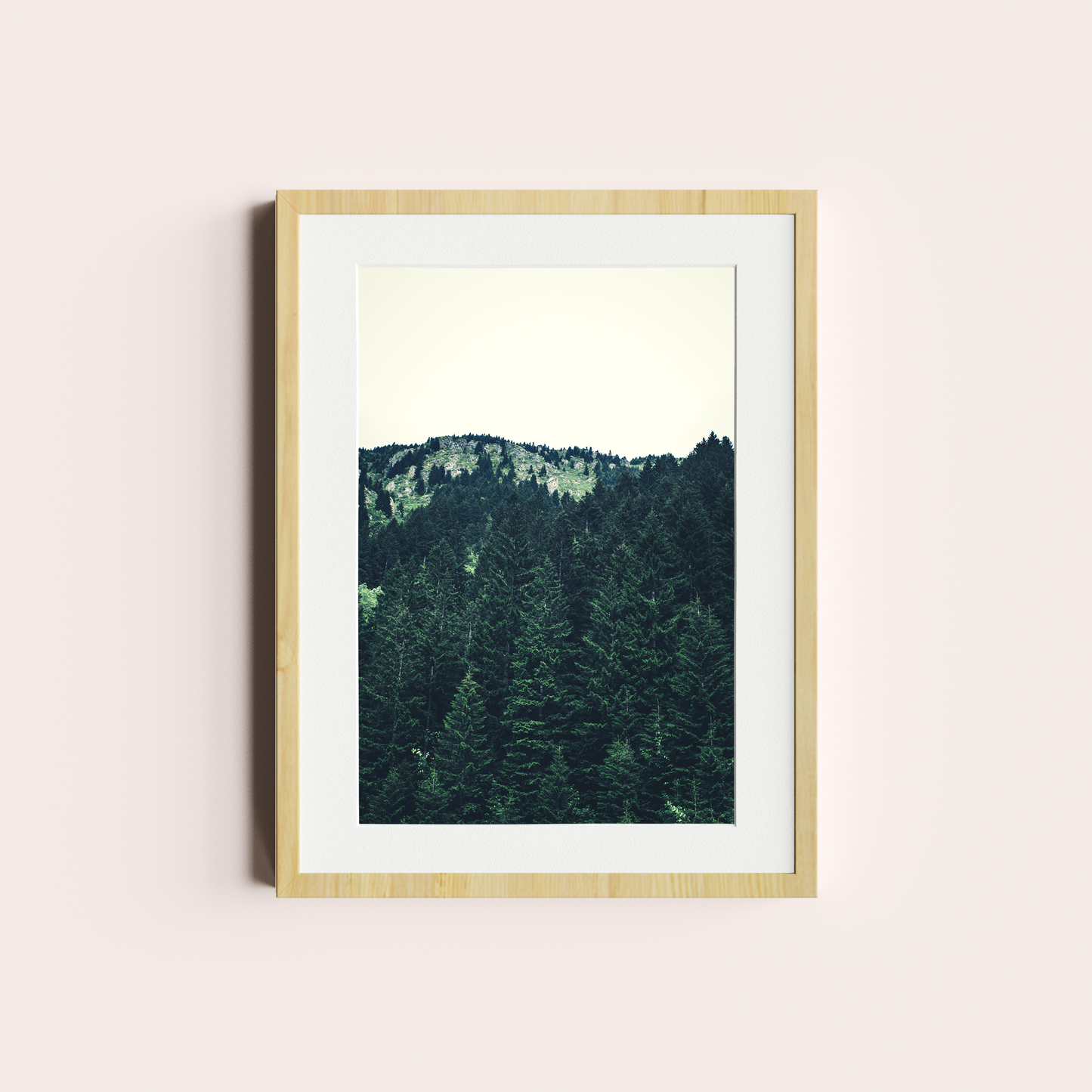 El bosque de Pinos II