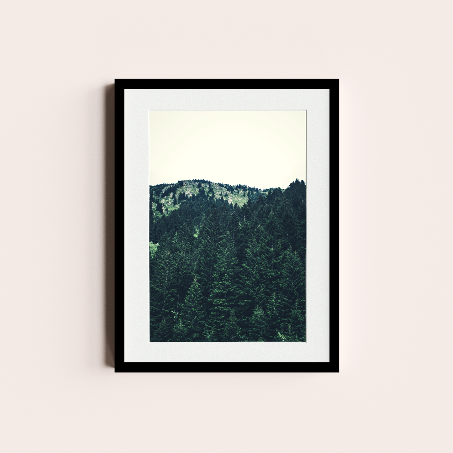 El bosque de Pinos II