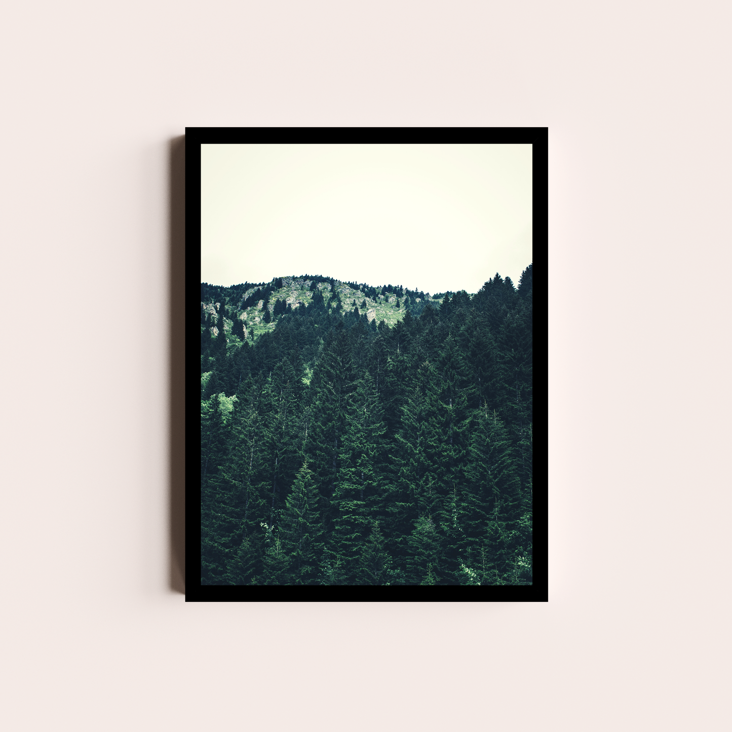 El bosque de Pinos II