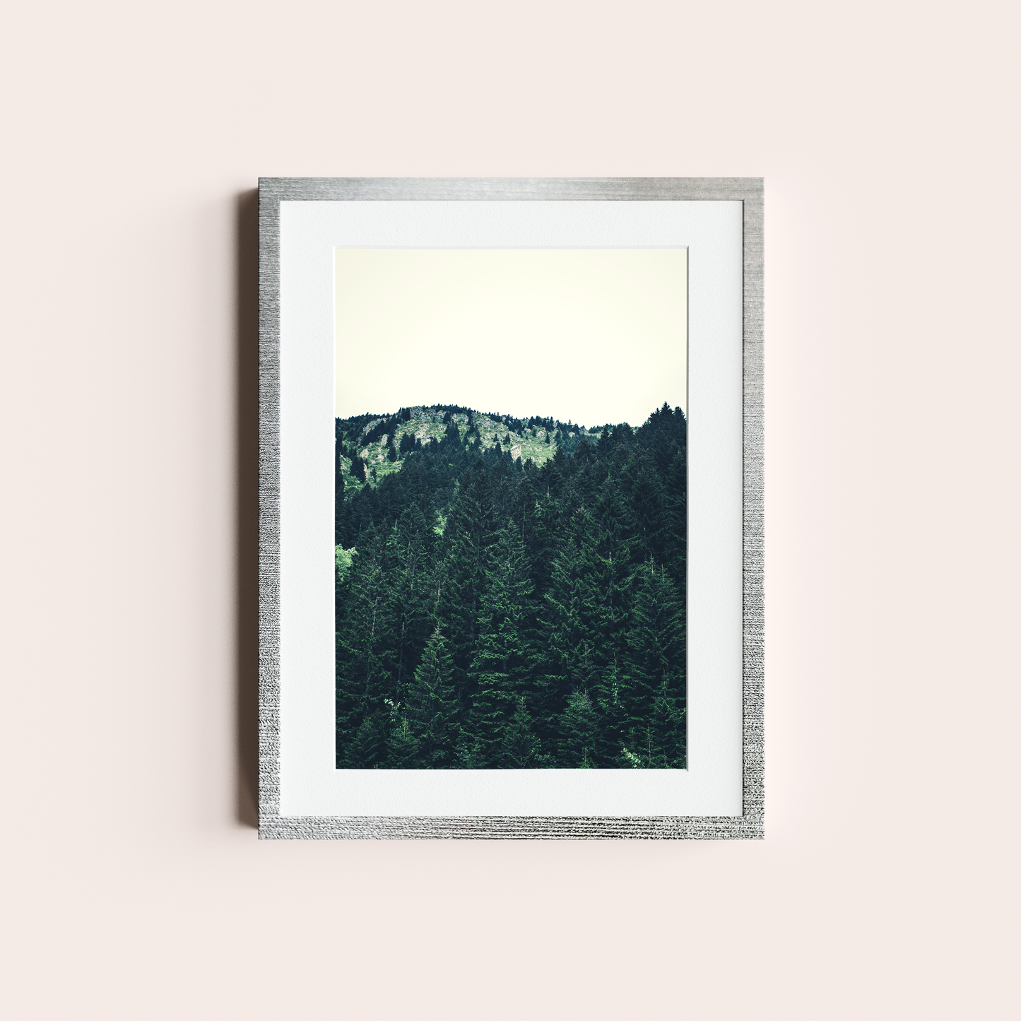 El bosque de Pinos II