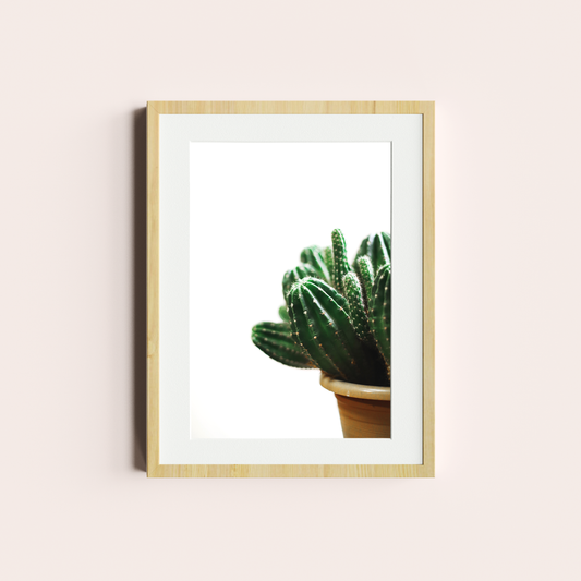 Cactus I