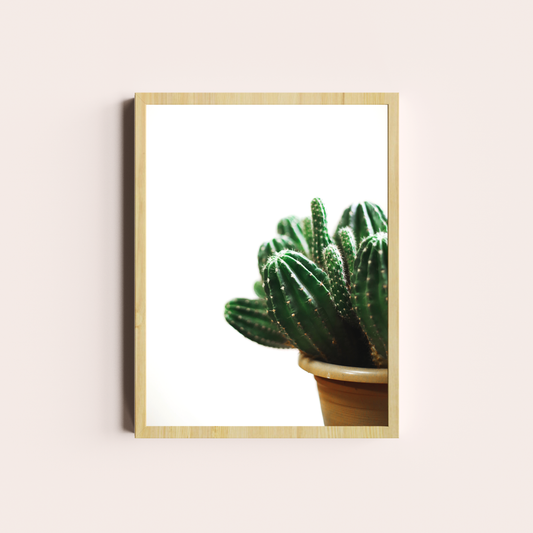 Cactus I