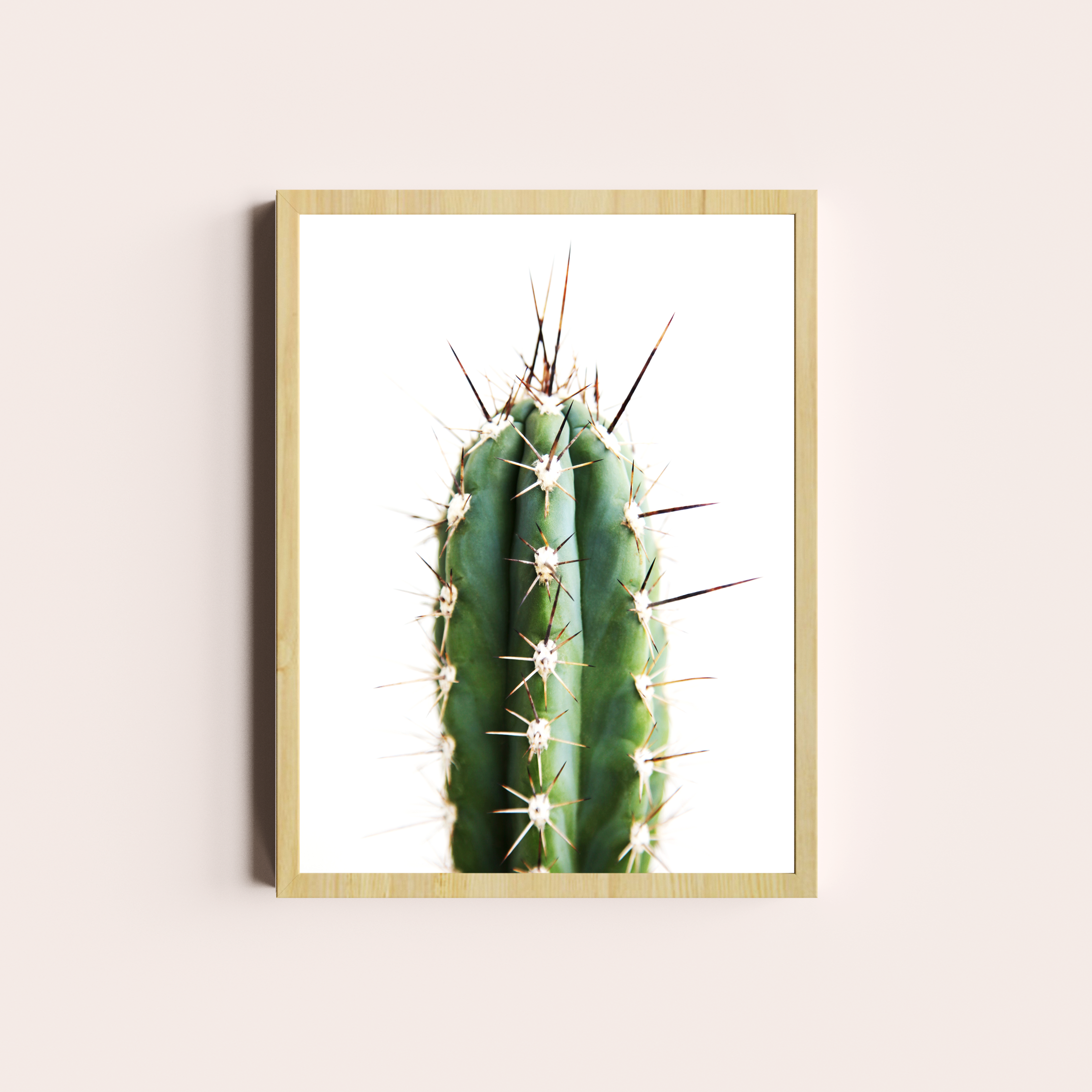 Cactus II