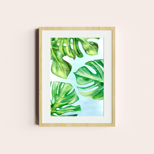 Monstera deliciosa