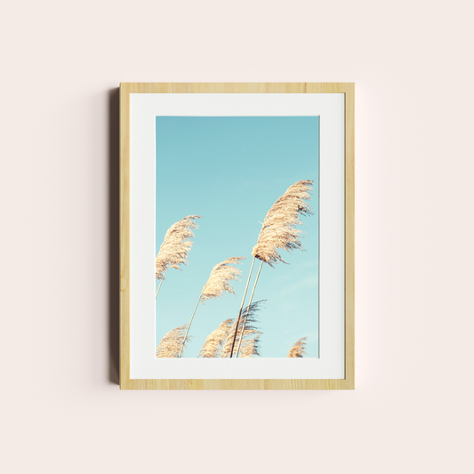 Jardín orgánico VIII