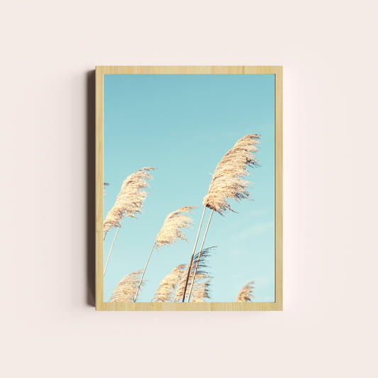 Jardín orgánico VIII